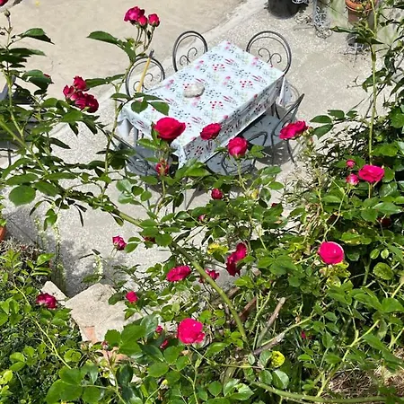 Apartment Casina Orione