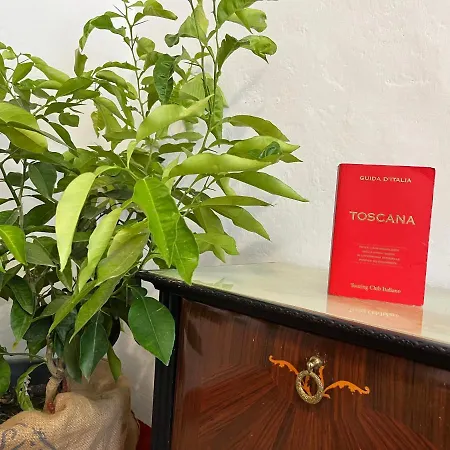 Casina Orione * Montecatini Val di Cecina