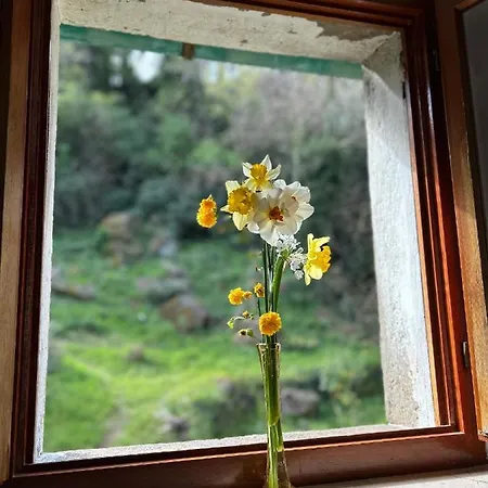 Casina Orione Apartment *