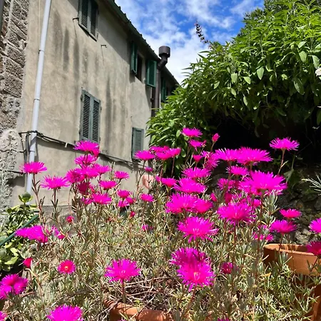 Apartment Casina Orione *