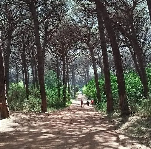 아파트 Casina Orione 몬테카티니발디세시다